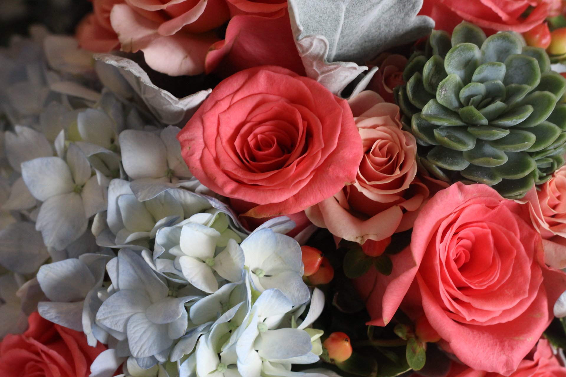 Wedding moments captured by guests